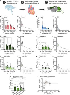 Regional Differences in Penetration of the Protein Stabilizer Trimethoprim (TMP) in the Rat Central Nervous System